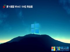 ܲ԰win8.1⼤64λǿv2025.03